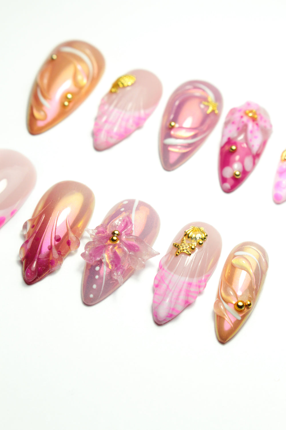 Seashell