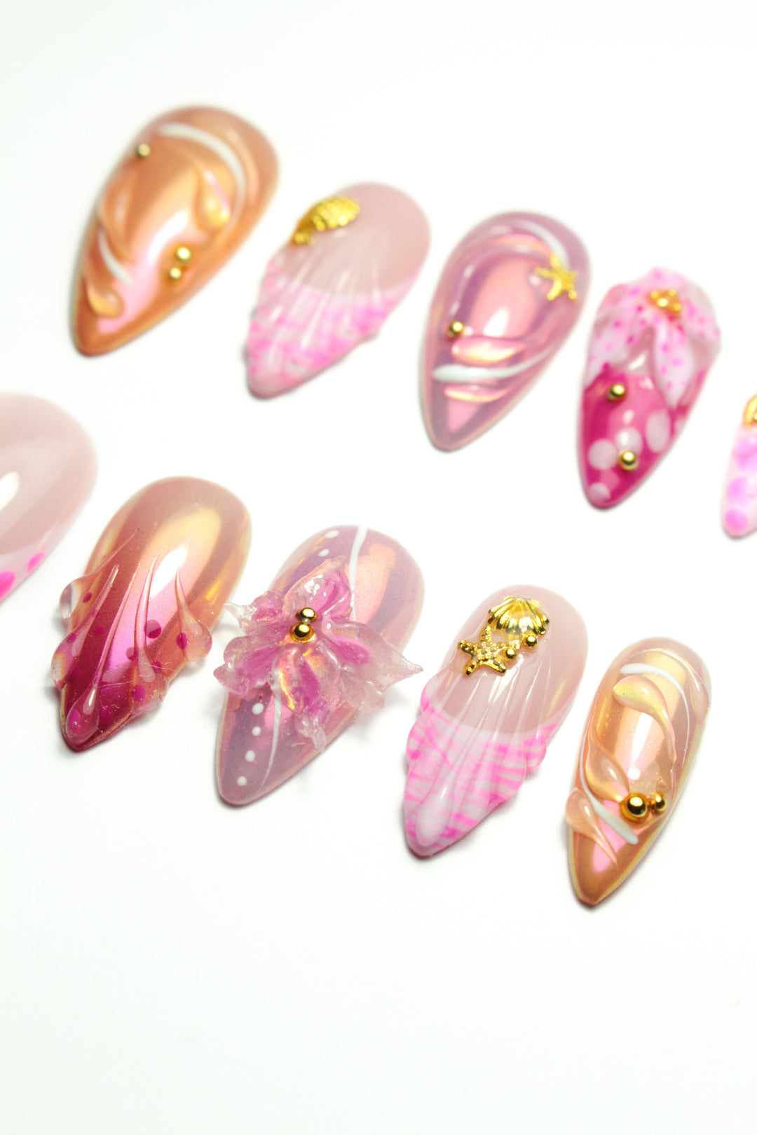 Seashell